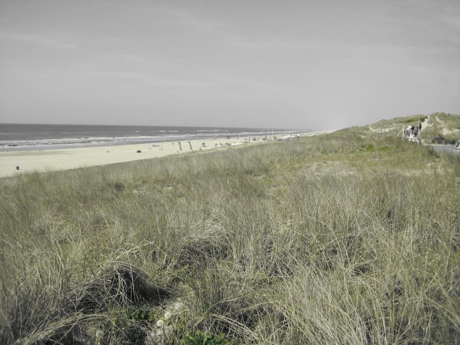 Cottage Egmond-Binnen Met Besloten Tuin Экстерьер фото