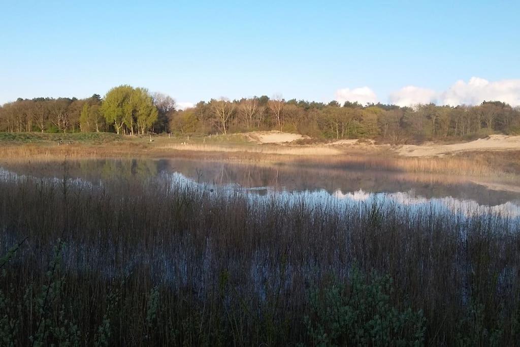 Cottage Egmond-Binnen Met Besloten Tuin Экстерьер фото