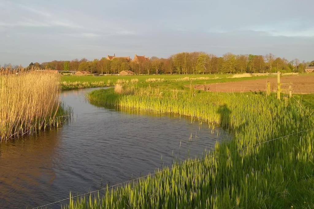Cottage Egmond-Binnen Met Besloten Tuin Экстерьер фото