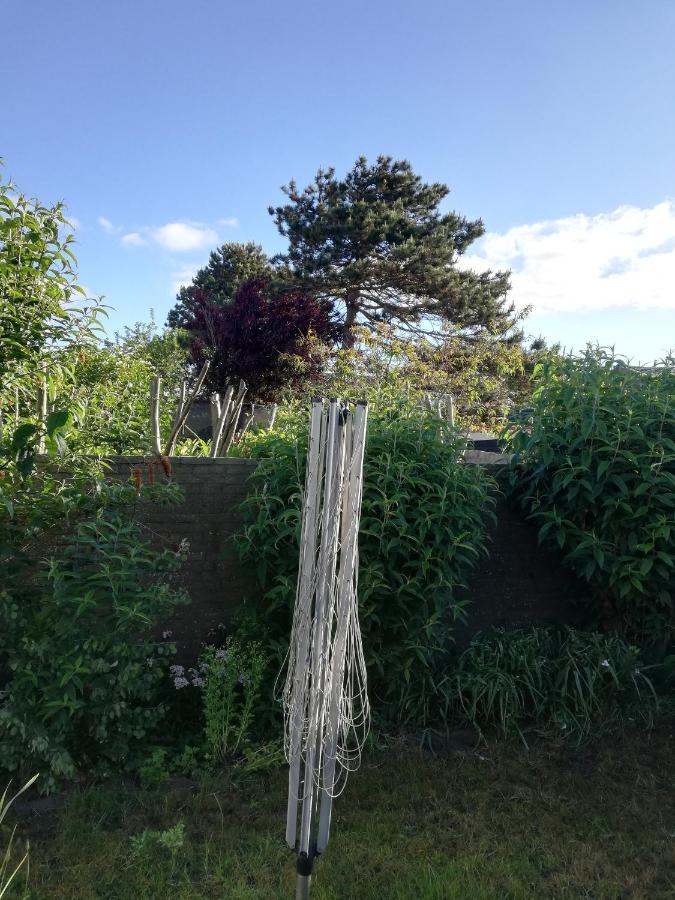 Cottage Egmond-Binnen Met Besloten Tuin Экстерьер фото